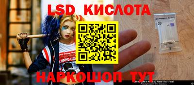 apvp Владимир