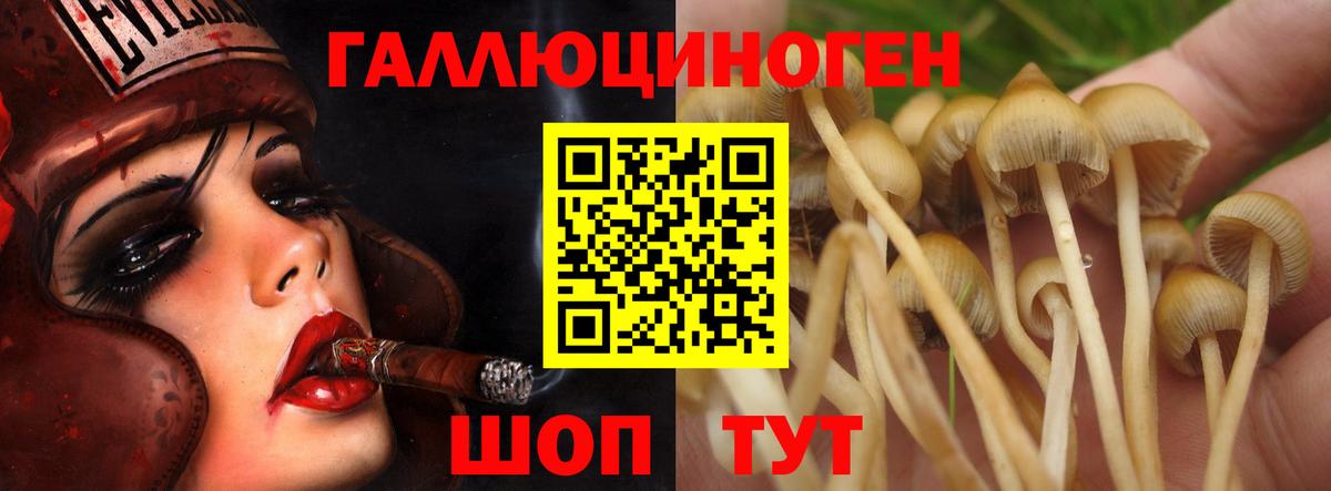 Псилоцибиновые грибы Magic Shrooms Партизанск